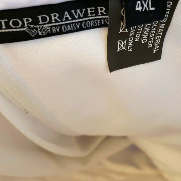 Daisy Corsets Playboy Bunny Corset Dress Costume Size 4X - Picture 10 of 11